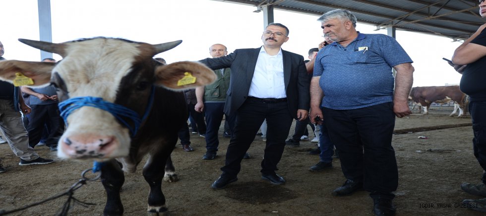 Iğdır Valisi Ercan Turan Sabahın Erken Saatlerinde Iğdır Canlı Hayvan Borsası'nı Ziyaret Etti