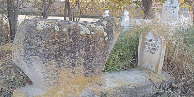 DİZELİ MEŞE ABBAS: (19. Yüzyıl Başlarında Iğdır’ın Sessiz Kahramanı)