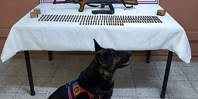 Iğdır’da Silah Kaçakçılığı Operasyonu: Kalaşnikof ve Mühimmat Ele Geçirildi