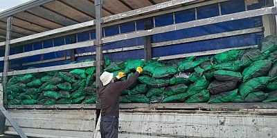 Iğdır’da Soğuklar Başladı: Köylerde Yakacak Telaşı