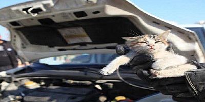 Iğdır’da soğuklarda sürücülere “Kaputa vurun” uyarısı