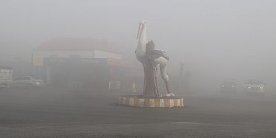 Iğdır’da Yoğun Sis Hayatı Felç Etti: Görüş Mesafesi 1 Metreye Kadar Düştü