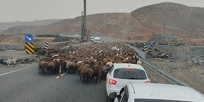 Iğdır Göçerlerinin Zorlu Yayla Sezonu: 