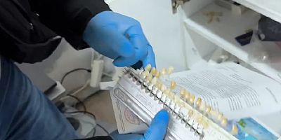 Tuzluca’da Sahte Diş Kliniğine Operasyon: 2 Gözaltı